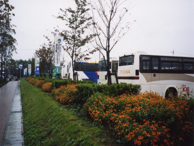 �R�����g�Ȃ�